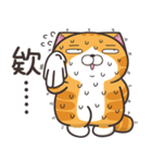 ランラン猫 36 (台湾版)（個別スタンプ：36）