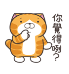 ランラン猫 36 (台湾版)（個別スタンプ：37）