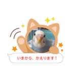 インコのリクちゃん♡ぴぃちゃんスタンプ（個別スタンプ：2）