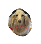 2桃太郎スタンプ（個別スタンプ：1）