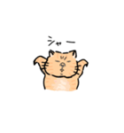 ぶさネコ茶（個別スタンプ：3）