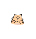 ぶさネコ茶（個別スタンプ：8）