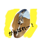 りん☆everyday（個別スタンプ：3）