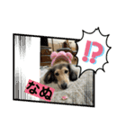 りん☆everyday（個別スタンプ：6）