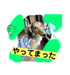 りん☆everyday（個別スタンプ：8）