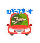 りん☆everyday（個別スタンプ：10）