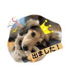 りん☆everyday（個別スタンプ：11）