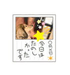 りん☆everyday（個別スタンプ：15）