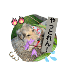 りん☆everyday（個別スタンプ：16）