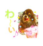 チョコちゃんスタンプ♡*(ごきげん編2)（個別スタンプ：7）