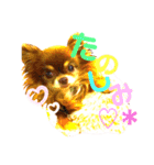 チョコちゃんスタンプ♡*(ごきげん編2)（個別スタンプ：13）