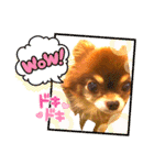 チョコちゃんスタンプ♡*(ごきげん編2)（個別スタンプ：17）