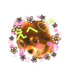 チョコちゃんスタンプ♡*(ごきげん編2)（個別スタンプ：24）