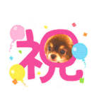 チョコちゃんスタンプ♡*(ごきげん編2)（個別スタンプ：38）