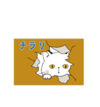 【動く】ぽけ猫☆日常編（個別スタンプ：20）