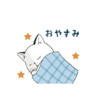 【動く】ぽけ猫☆日常編（個別スタンプ：24）