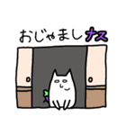 白目むいてるねこ-茄子-（個別スタンプ：17）