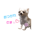 いちごとひめ（個別スタンプ：4）