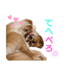 いちごとひめ（個別スタンプ：6）