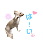 いちごとひめ（個別スタンプ：9）