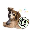 いちごとひめ（個別スタンプ：10）