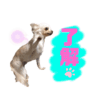 いちごとひめ（個別スタンプ：12）
