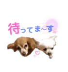 いちごとひめ（個別スタンプ：13）