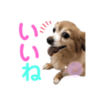 いちごとひめ（個別スタンプ：18）