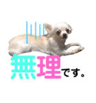 いちごとひめ（個別スタンプ：19）