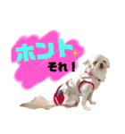 いちごとひめ（個別スタンプ：22）