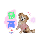 いちごとひめ（個別スタンプ：24）
