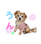いちごとひめ（個別スタンプ：30）