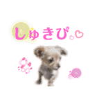 いちごとひめ（個別スタンプ：36）