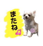 いちごとひめ（個別スタンプ：40）