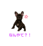 黒アトム01（個別スタンプ：2）