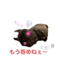 黒アトム01（個別スタンプ：11）
