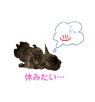 黒アトム01（個別スタンプ：13）