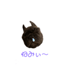黒アトム01（個別スタンプ：15）