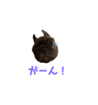黒アトム01（個別スタンプ：16）