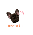 黒アトム01（個別スタンプ：17）