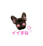 黒アトム01（個別スタンプ：19）