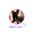 黒アトム01（個別スタンプ：20）