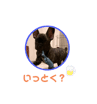 黒アトム01（個別スタンプ：21）