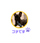 黒アトム01（個別スタンプ：22）