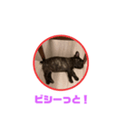 黒アトム01（個別スタンプ：23）