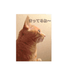 Mk3019（個別スタンプ：5）