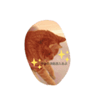 Mk3019（個別スタンプ：8）