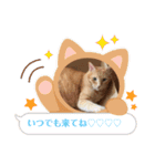 Mk3019（個別スタンプ：12）