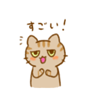 こねこーず こうてい（個別スタンプ：5）