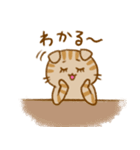 こねこーず こうてい（個別スタンプ：23）